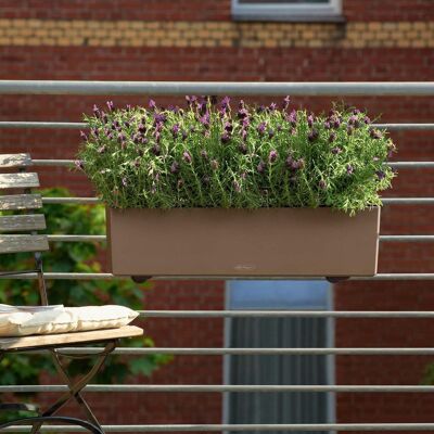 LECHUZA BALCONERA Color 80 Sand Brown Poly Resin Window Box Self-watering Planter with Substrate H19 L80 W19 cm, 12 ltrs Cap.