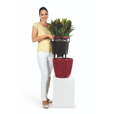 LECHUZA CLASSICO 28 LS Scarlet Red High-Gloss Poly Resin Table Self-watering Planter with Substrate D28 H26 cm, 16 ltrs Cap.