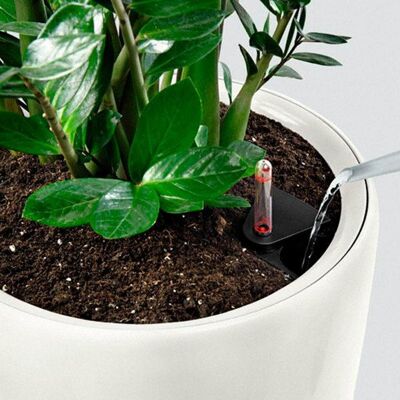 LECHUZA CLASSICO 43 LS Charcoal Metallic Poly Resin Floor Self-watering Planter with Substrate D43 H40 cm, 58 ltrs Cap.