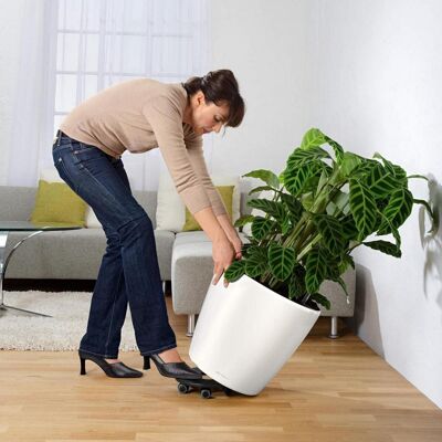 LECHUZA CLASSICO 50 LS White High-Gloss Poly Resin Floor Self-watering Planter with Substrate D50 H47 cm, 92 ltrs Cap.