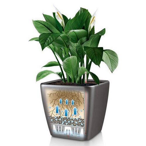 LECHUZA QUADRO LS 21 Charcoal Metallic Poly Resin Table Self-watering Planter with Substrate H20 L21 W21 cm, 9 ltrs Cap.