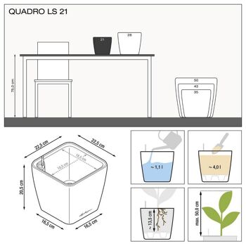 LECHUZA QUADRO LS 21 Jardinière auto-irrigante en résine poly rouge écarlate avec substrat H20 L21 W21 cm, 9 litres Cap. 7