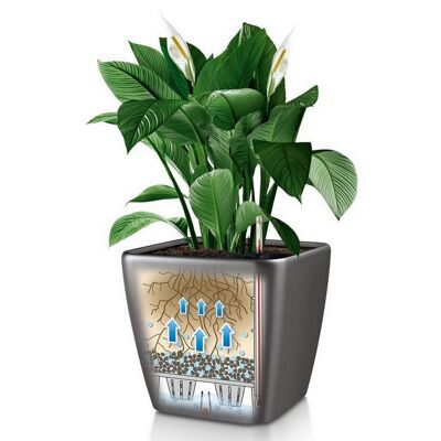LECHUZA QUADRO LS 28 Espresso Metallic Poly Resin Table Self-watering Planter with Substrate H26 L28 W28 cm, 20 ltrs Cap.