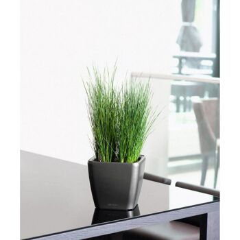 LECHUZA QUADRO LS 28 Charcoal Metallic Poly Resin Table Jardinière auto-arrosante avec substrat H26 L28 W28 cm, 20 ltrs Cap. 4