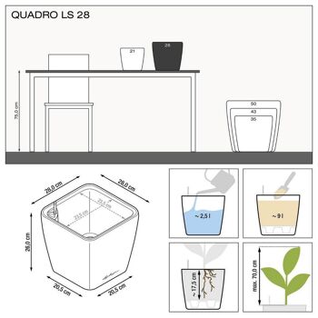 LECHUZA QUADRO LS 28 Charcoal Metallic Poly Resin Table Jardinière auto-arrosante avec substrat H26 L28 W28 cm, 20 ltrs Cap. 6