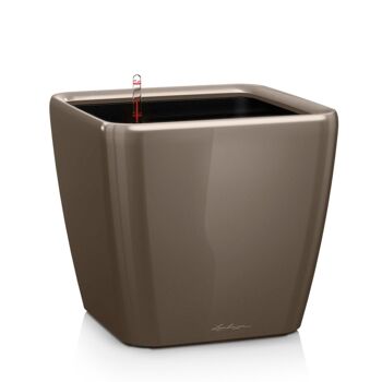 LECHUZA QUADRO LS 28 Jardinière auto-arrosante de table en polyrésine taupe brillante avec substrat H26 L28 W28 cm, 20 ltrs Cap. 9