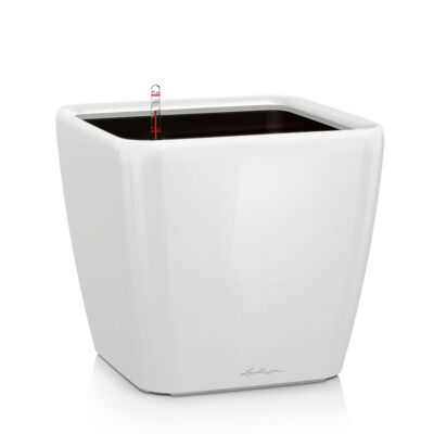 LECHUZA QUADRO LS 35 White High-Gloss Poly Resin Floor Self-watering Planter with Substrate H33 L35 W35 cm, 40 ltrs Cap.