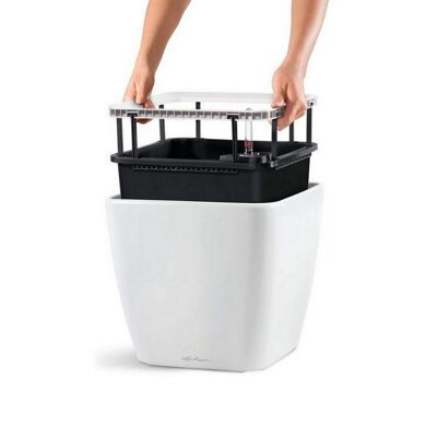 LECHUZA QUADRO LS 43 Shiny Taupe Poly Resin Floor Self-watering Planter with Substrate H40 L43 W43 cm, 74 ltrs Cap.