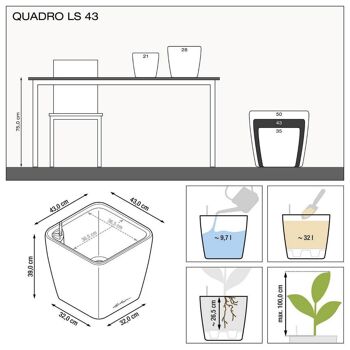 LECHUZA QUADRO LS 43 Jardinière à arrosage automatique au sol en résine poly noire haute brillance avec substrat H40 L43 W43 cm, 74 ltrs Cap. 7