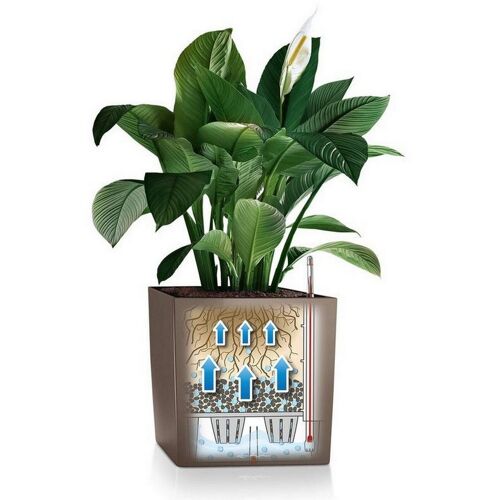LECHUZA CUBE 40 Charcoal Metallic Poly Resin Floor Self-watering Planter with Substrate H40 L40 W40 cm, 64 ltrs Cap.