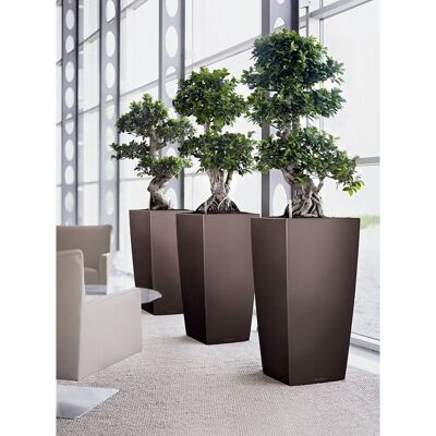 LECHUZA CUBICO 30 Espresso Metallic Poly Resin Floor Self-watering Planter with Substrate H56 L30 W30 cm, 50 ltrs Cap.