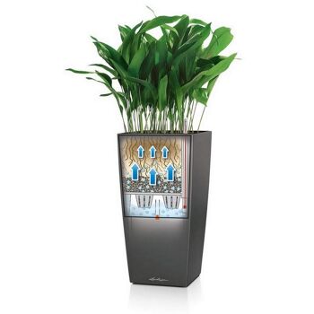 LECHUZA CUBICO 30 Jardinière auto-irrigante en résine poly noire haute brillance avec substrat H56 L30 W30 cm, 50 ltrs Cap. 2