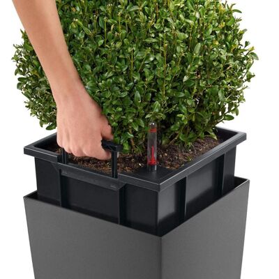 LECHUZA CUBICO 40 Jardinière à arrosage automatique au sol en résine poly taupe brillante avec substrat H75 L40 W40 cm, 120 ltrs Cap.