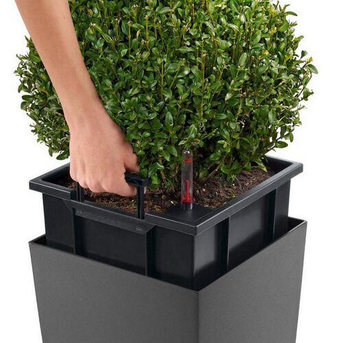 LECHUZA CUBICO 22 Espresso Metallic Poly Resin Table Self-watering Planter with Substrate H41 L22 W22 cm, 20 ltrs Cap.