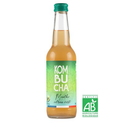 Bio-Kombucha-Minze, Limette und grüner Pfeffer – 33 cL