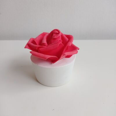 Single rose - La vie en roses series