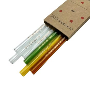 6 pailles en verre colorées (ambre, jaune, vert, transparent) (20 cm) avec impression "Spring Fever", "Spring Ripe", "Spring Time" + brosse de nettoyage 2