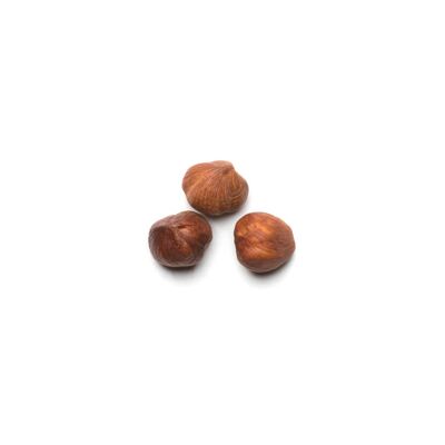 Natural hazelnut small plastic pots