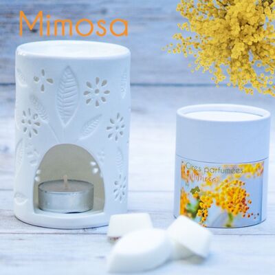Mimosa scented fondants