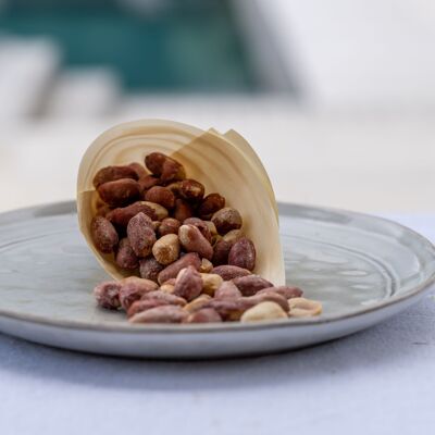 Geröstete gesalzene Erdnüsse aus Marseille, kleine Plastiktöpfe 150gr