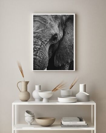 Affiche Poster - Éléphant 2