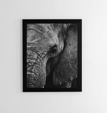 Affiche Poster - Éléphant 3