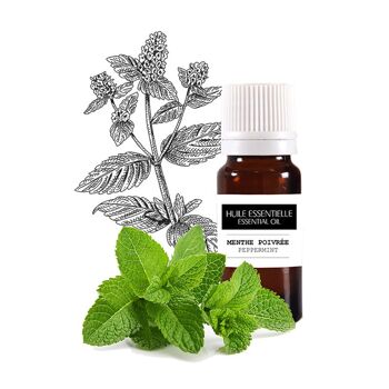 Huile essentielle Menthe poivrée BIO 10 ml 4