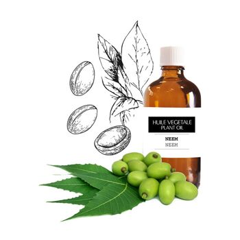 Huile végétale Neem 30 ml 4