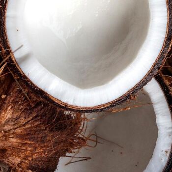 Exfoliant Coques de noix de coco 30 g 2