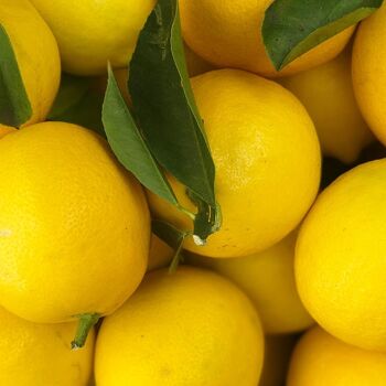 Exfoliant Ecorce de citron 30 g 2