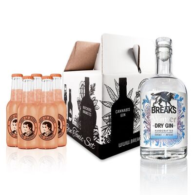 SET GOURMAND WINTER GIN & 5x 200ml Thomas Henry Pink Pamplemousse