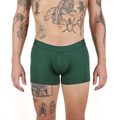 Boxer Moderne Vert