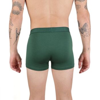 Boxer Moderne Vert 2