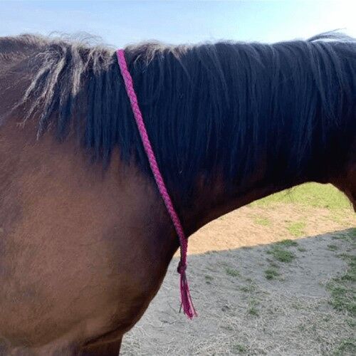 Braided Neck rope , Pink