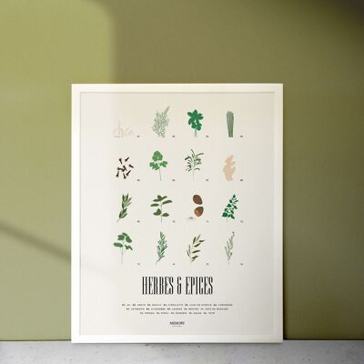HERBS & SPICES poster 40x50cm - The poster with taste!