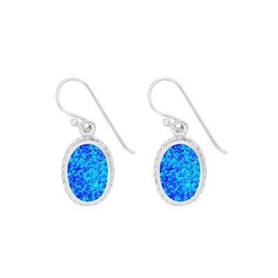 Decorative Blue Opal Earrings