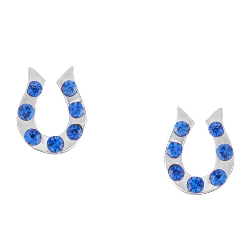 Pretty Sapphire Horseshoe Studs - Studs