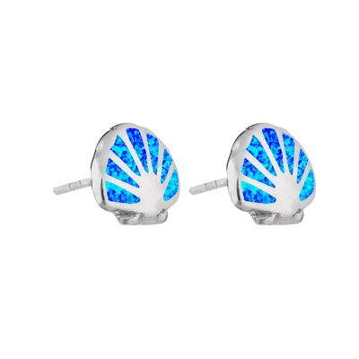 Boucles d'oreilles en coquillage d'opale bleue