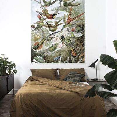 Behangpaneel Exotic Birds, 142.5 x 180 cm 142.5 x 180 cm (3 sheets)