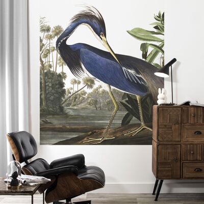 Behangpaneel Louisiana Heron, 142.5 x 180 cm 142.5 x 180 cm (3 sheets)