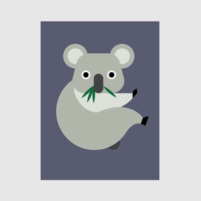 Poster Koala