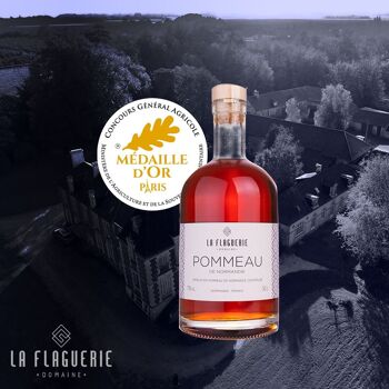 POMMEAU DE NORMANDY Organic 50cl 1