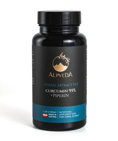 Curcumin 95% Extract with Piperine Capsules