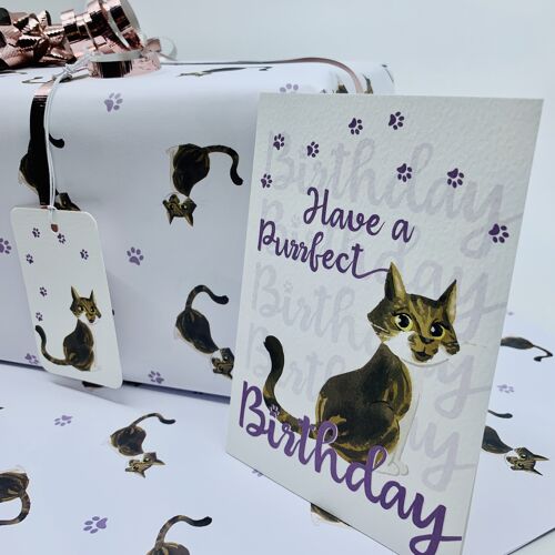 Cute Tabby Cat A6 Birthday Card Have a PURRFECT Birthday ISLA