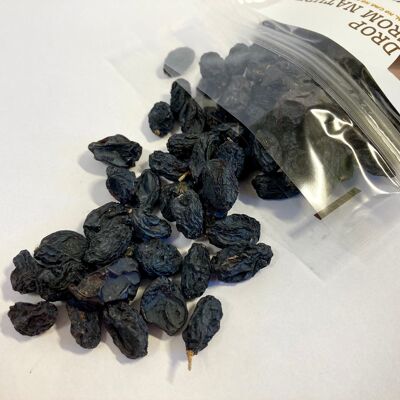 RAISINS BLEUS