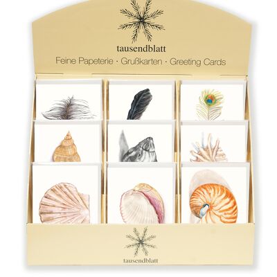 Présentoir de comptoir pour cartes de vœux, coquillages et plumes