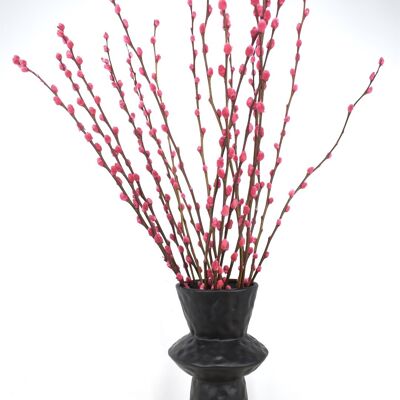 Salix Weidenkätzchen Rosa - 70 cm