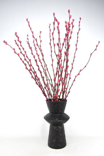 Chatons Salix Saule Rose - 70 cm 1