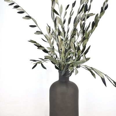 Trockenblumen - Olive - 50 cm