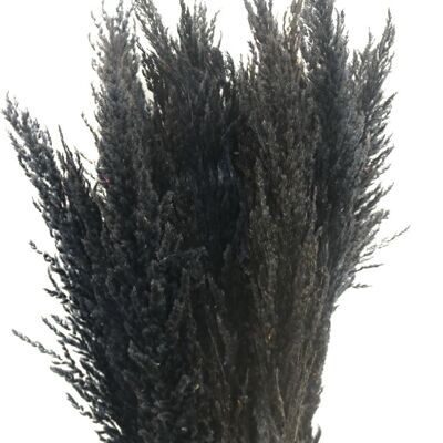 Fleurs séchées - plumes de pampa - noir 100 cm